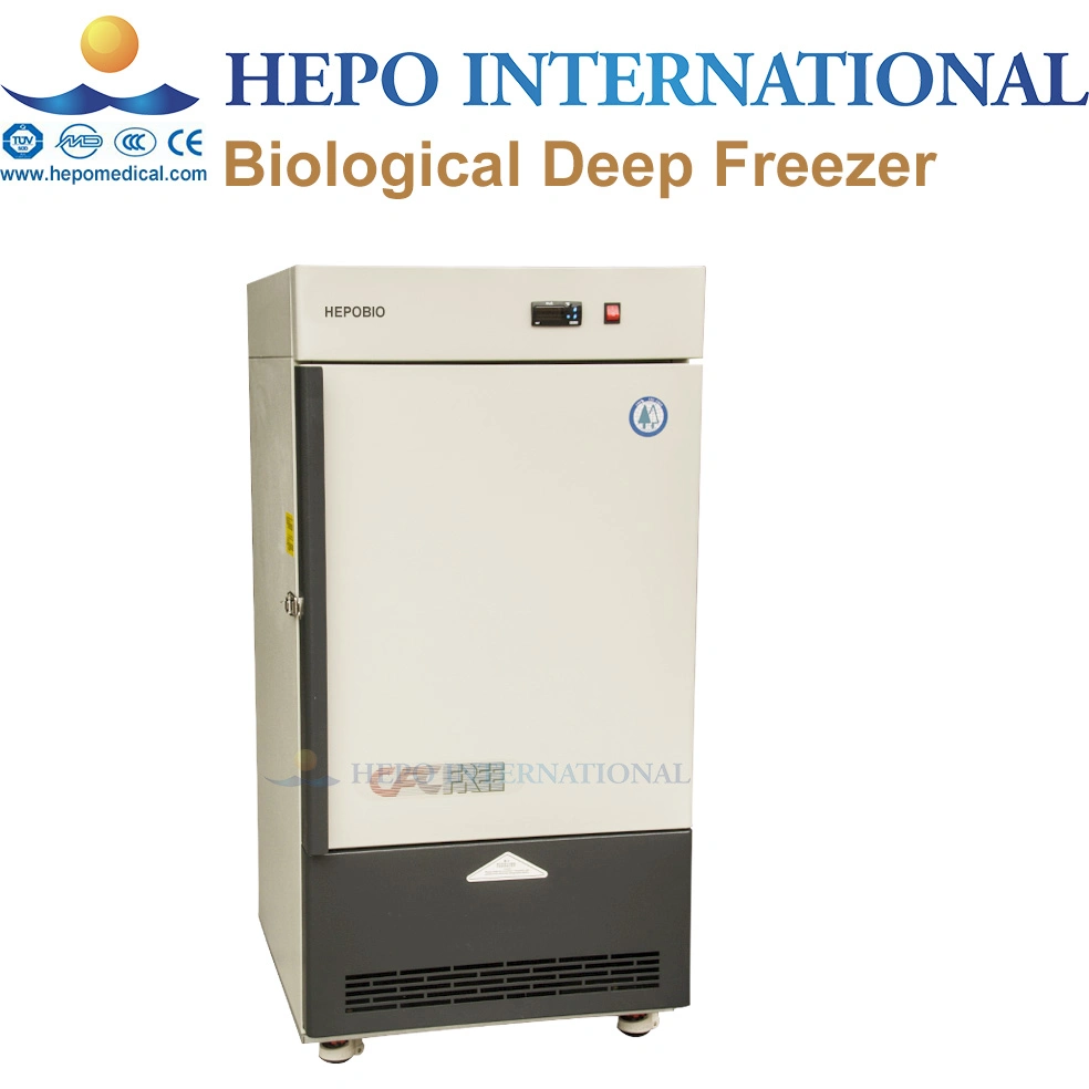 -60degree Ecnomical Medical Industry Upright Deep Freezer