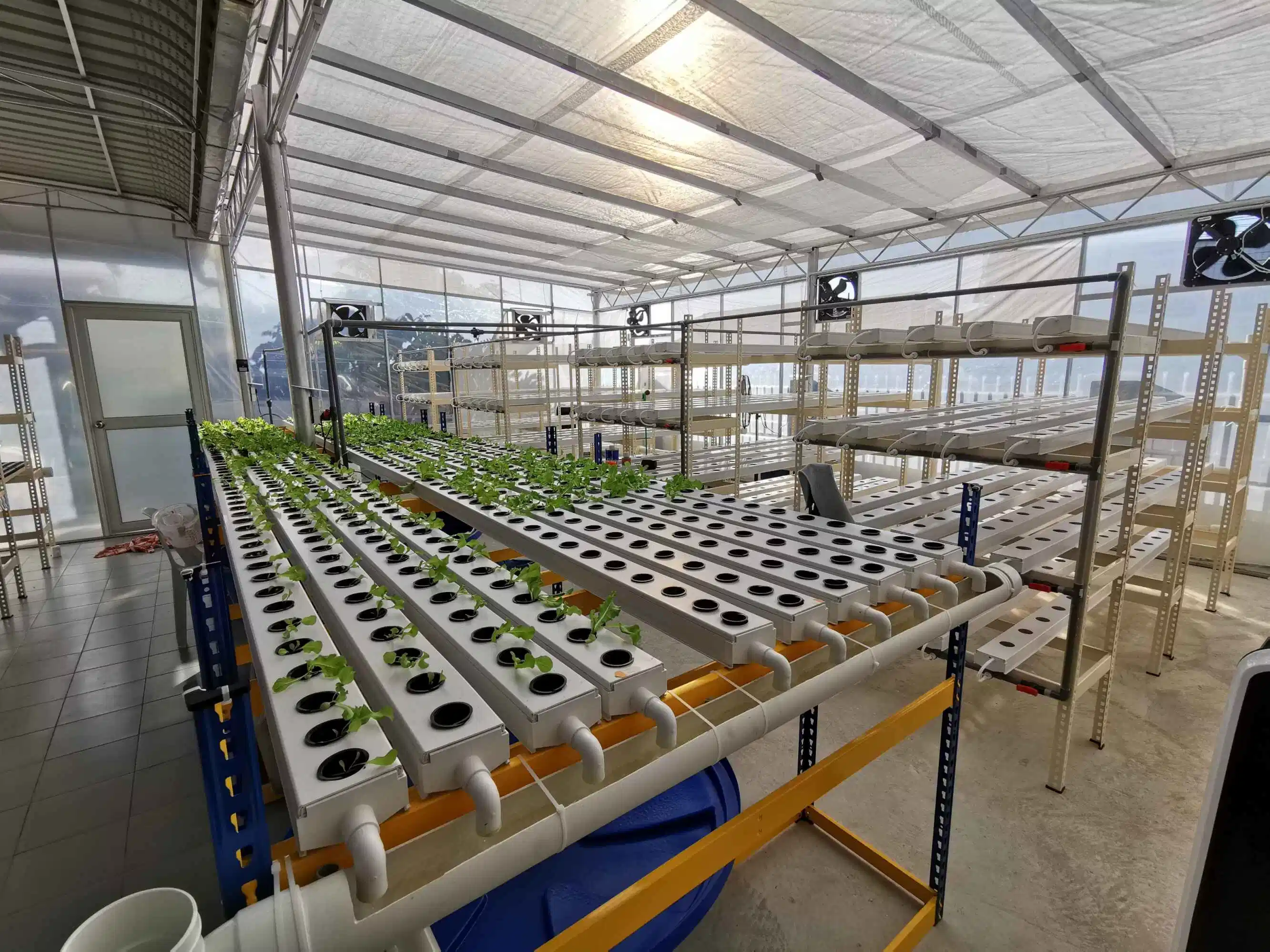 El cultivo de nutriente Nft canal alimentario fertilizante del tubo de PVC Hidroponía cada vez más el riego agrícola