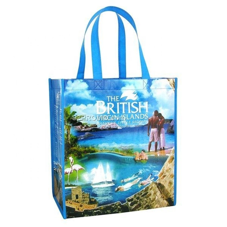 Custom Printed Recycle Foldable PE Woven Lamination PP BOPP Woven Shopping Bags