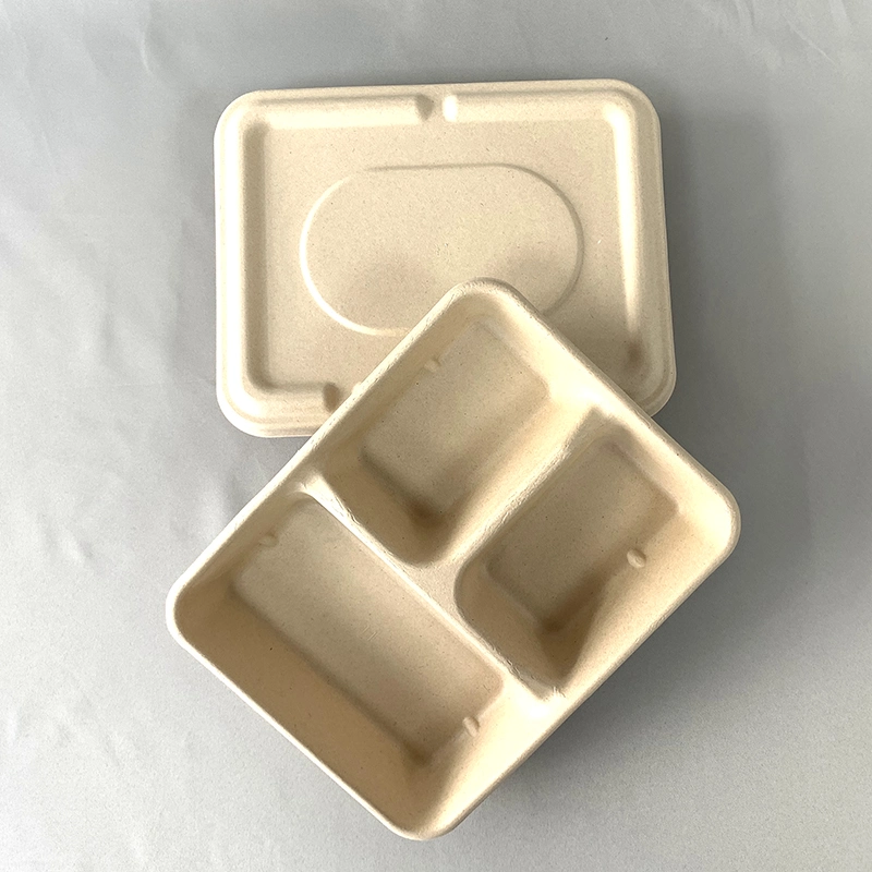 Eco-Friendly Disposable Takeaway Food Tray Biocane Plate Compostable Plates Fast Food Tray 3-Compartment Trays Biodegradable Lunch Food Tray for School, Picnic