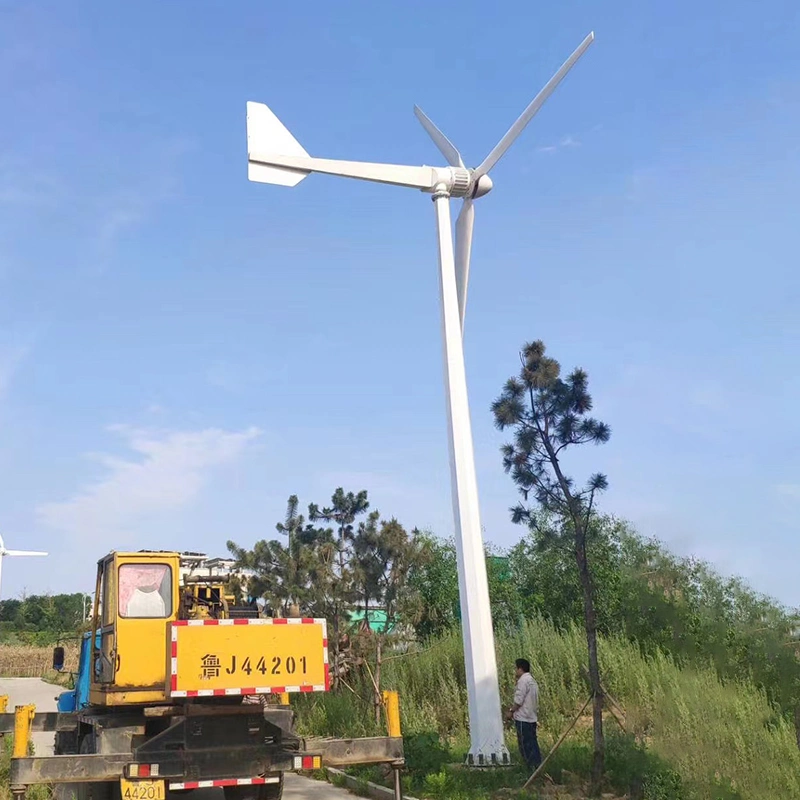 3000W aerogenerador Unidad completa para Casa híbrida con inversor