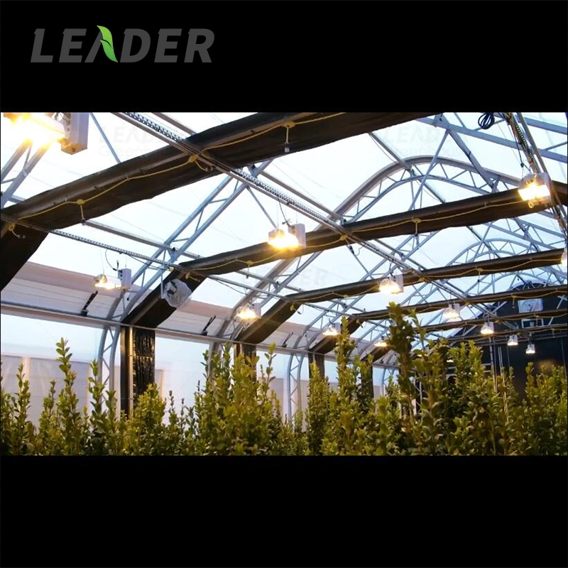 Hot Selling Blackout Light Deprivation Greenhouse Made in China