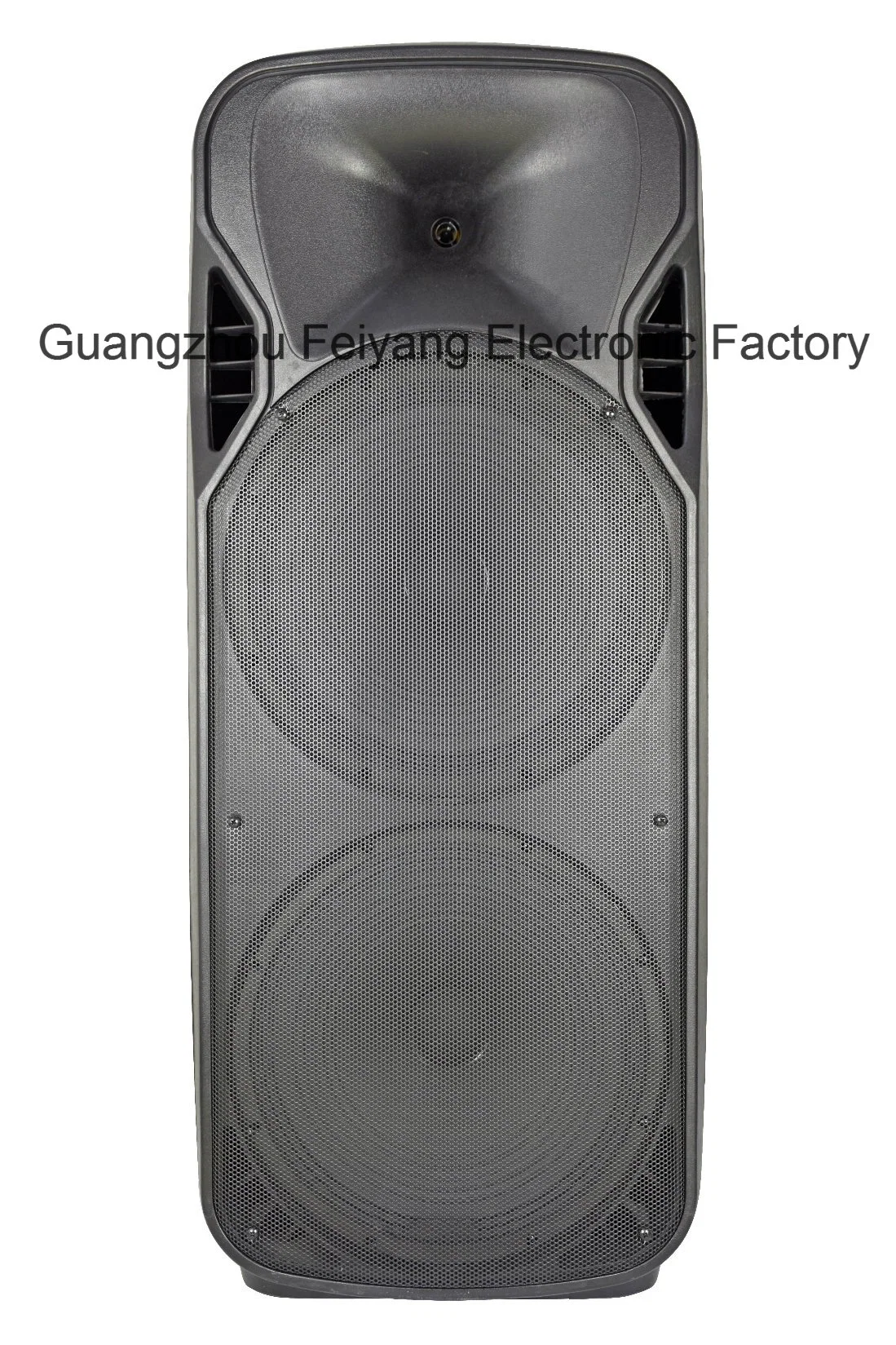 Double 15inch Powerful Karaoke Stage Speaker with Bluetooth F86