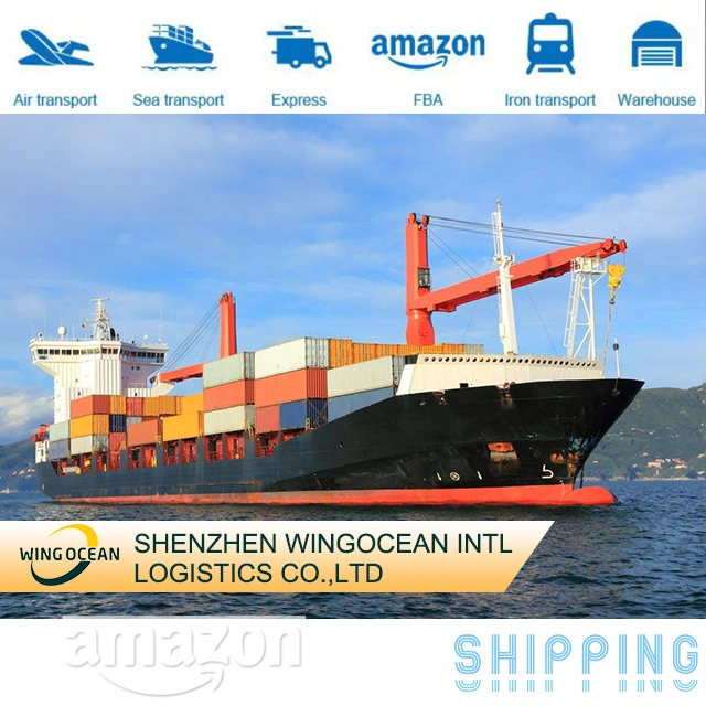 Lowest Price Freight Forwarder DDP Sea Freight Shipping China to UK/ Germany/ France/ Spain/ Italy