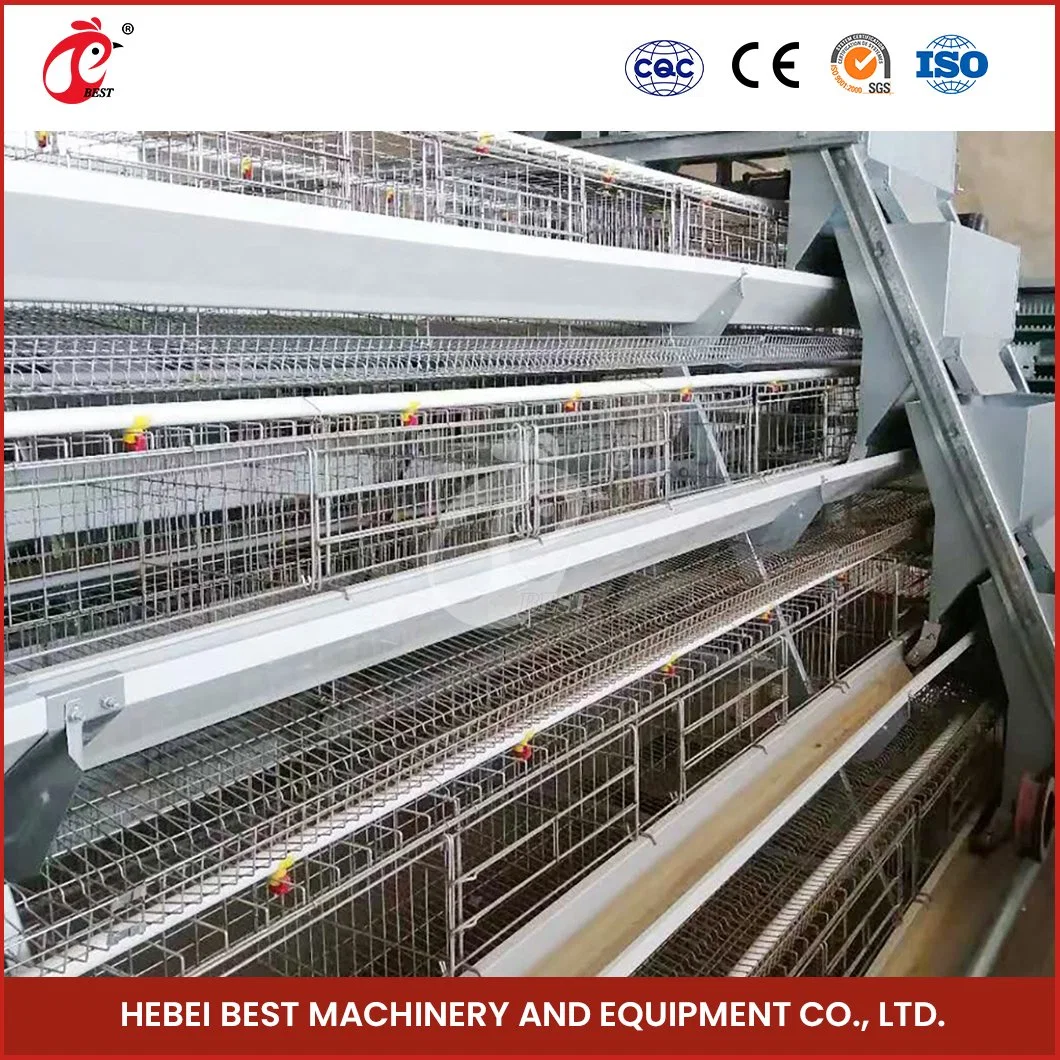 Bestchickencage a Type Pullet Chicks Cage Breeder Cage China Brooder Chicken Enclosure Manufacturing Free Sample Low Noise Level Poultry Farm Brooder Cages