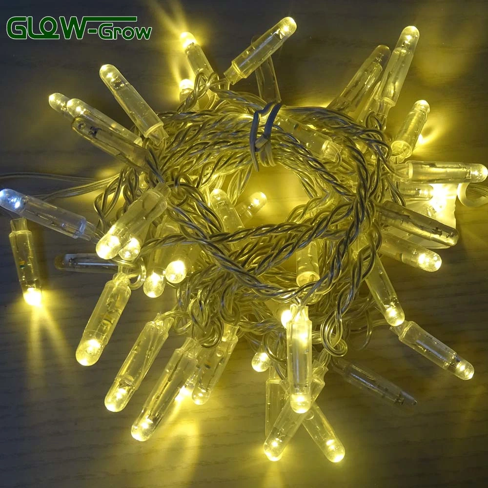 Commercial Grade IP65 Waterproof LED Wedding Light Christmas String Light with Flash Bulb 4+1 for Building Decoration