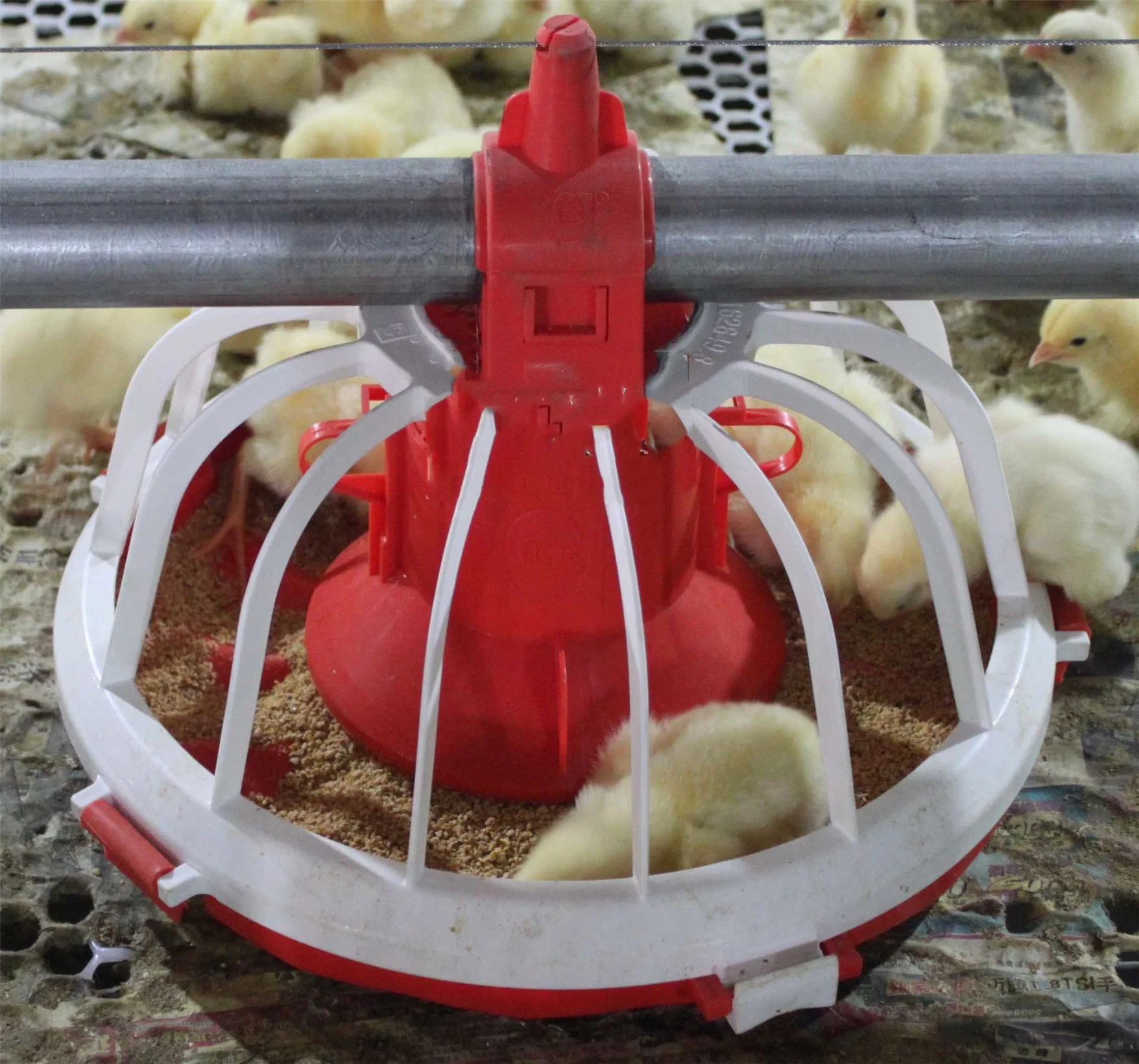 Professional Design Poultry Farm Chicken House Equipment Pan Feeder for Broiler/Breeder/Layer