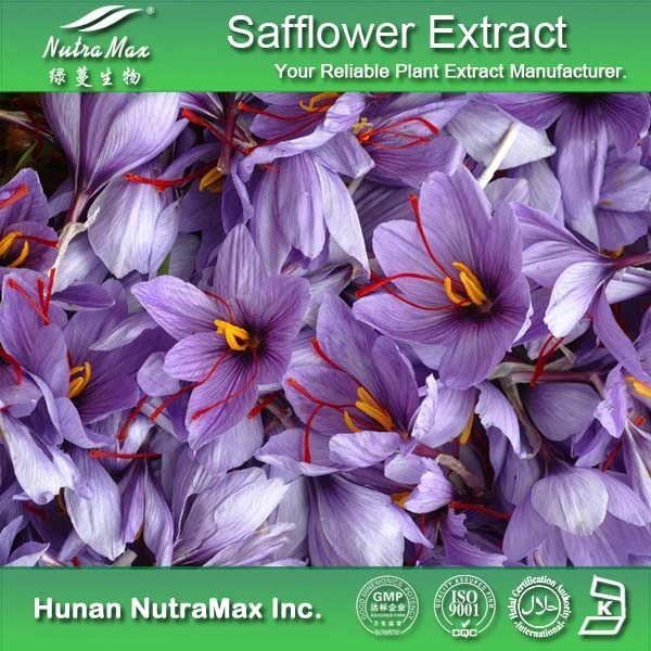 100% натуральные шафран Flower Extract порошка (4: 1~20: 1)