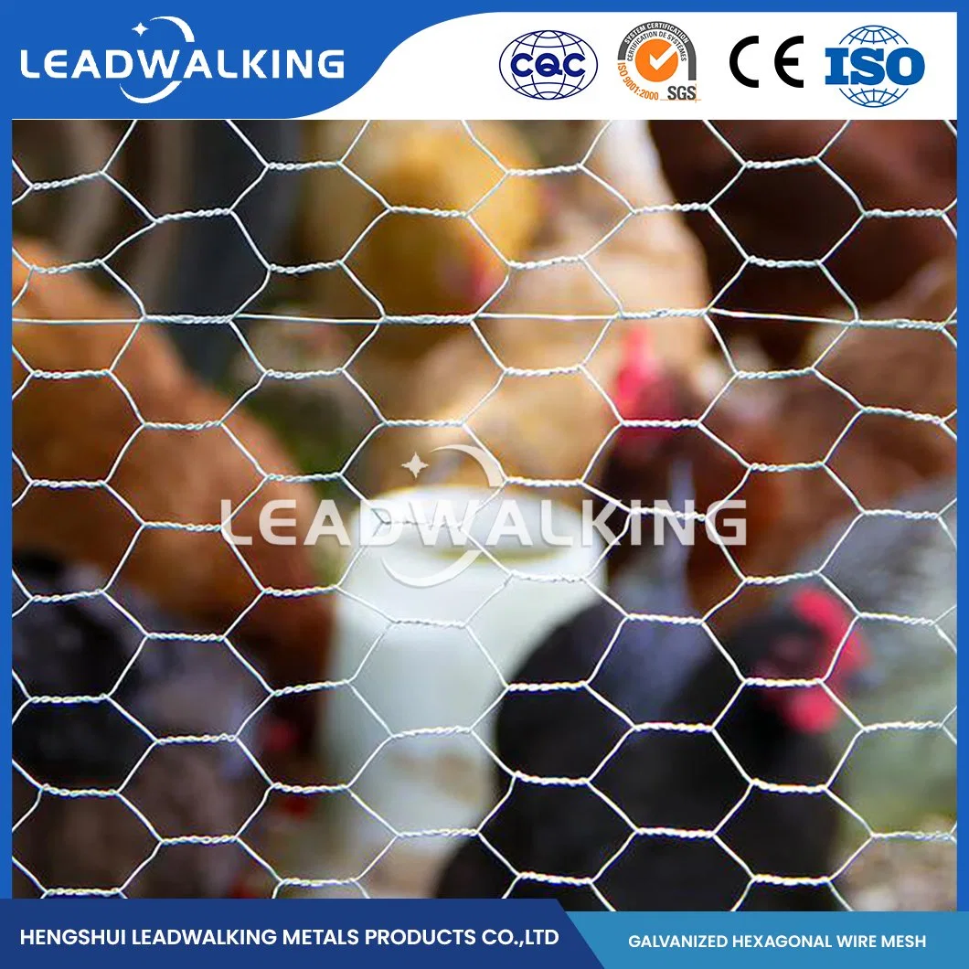Leadwalking China alambre de pollo malla tamaños fábrica alambre de cobre material Malla de 3/4 pulgadas de Red Hex Galvanizada