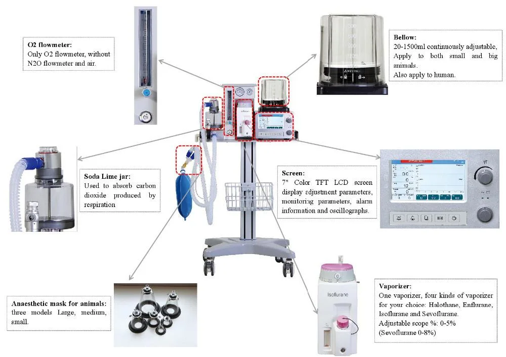 Medical Supplies Anesthesia Machine Veterinary Anesthesia Ventilator for Pet Surgical Breathing