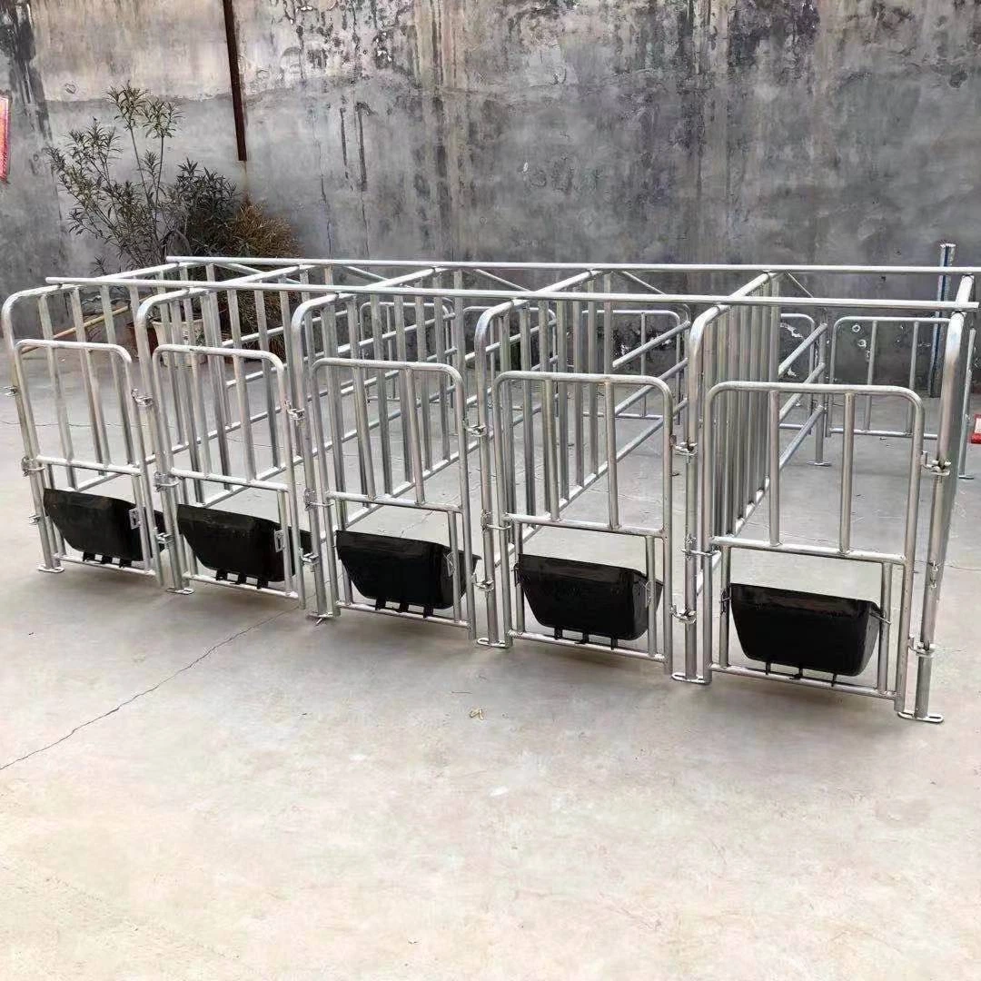 Galvanized Animal Cage Equipment Gestation Crates Pig Pen