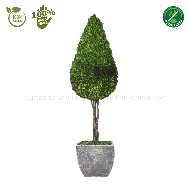 100% Natural Preserved Boxwood Topiary Water Droplet Shaped Bonsai Modern Design Greenery Planter