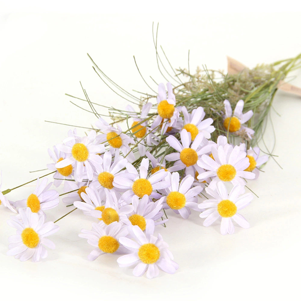 Fashion New Natural Real Preserved Strawflower Fresh Flowers Dried Rock Chrysanthemum Daisy Flowers for Wedding Decor