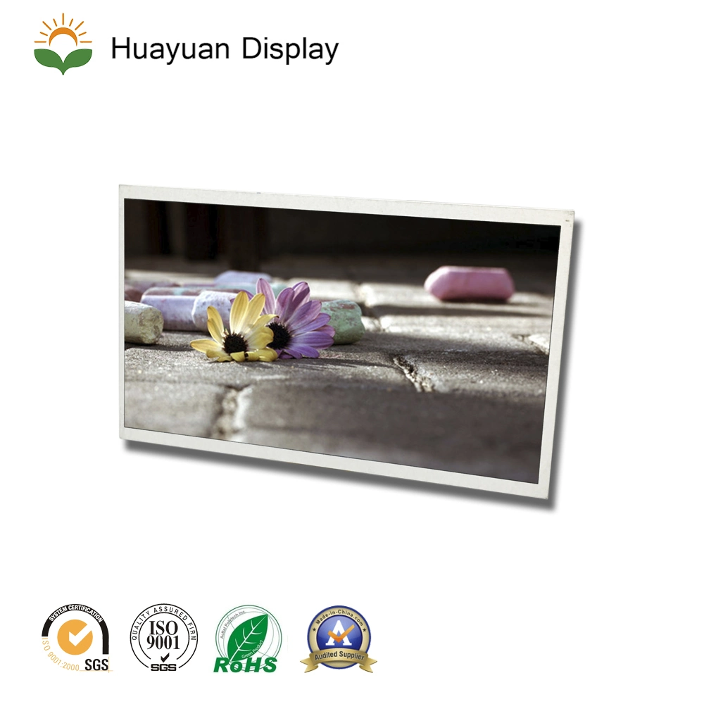 10.1 pouces TFT LCD affichage LVDS 40 broches avec le contrôleur IC HX8282A14+hx8696