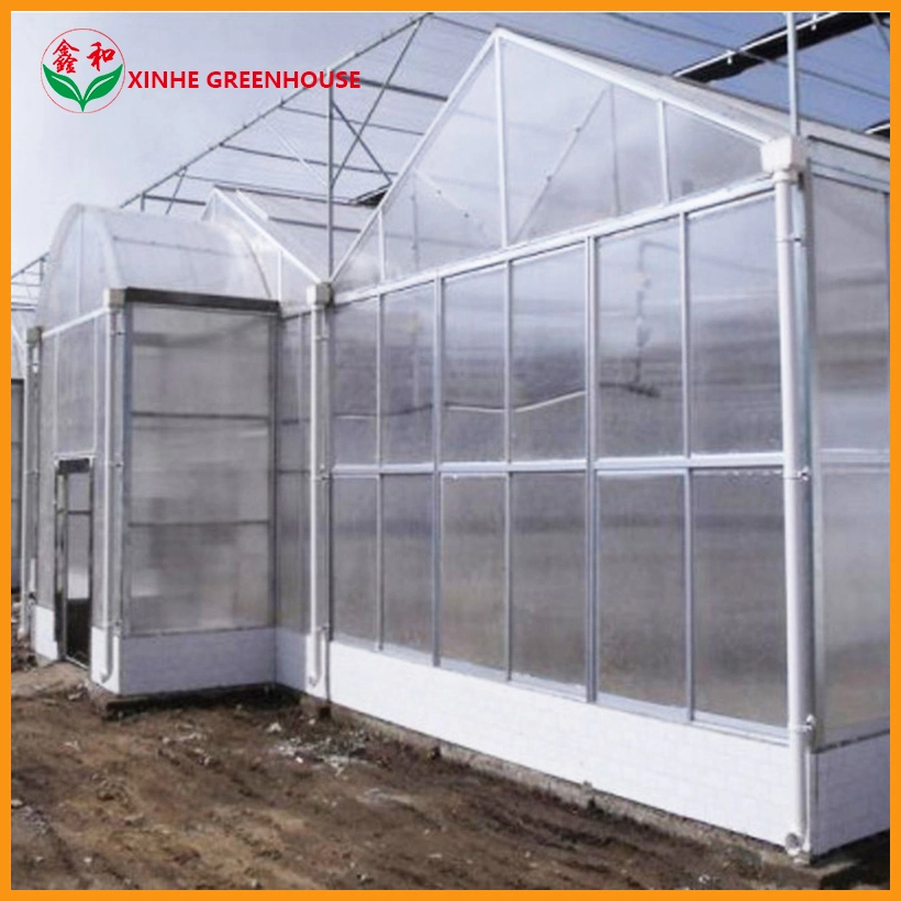 Farming PC Sheet Greenhouse Serre for Vegetable Planting Flowers Growing