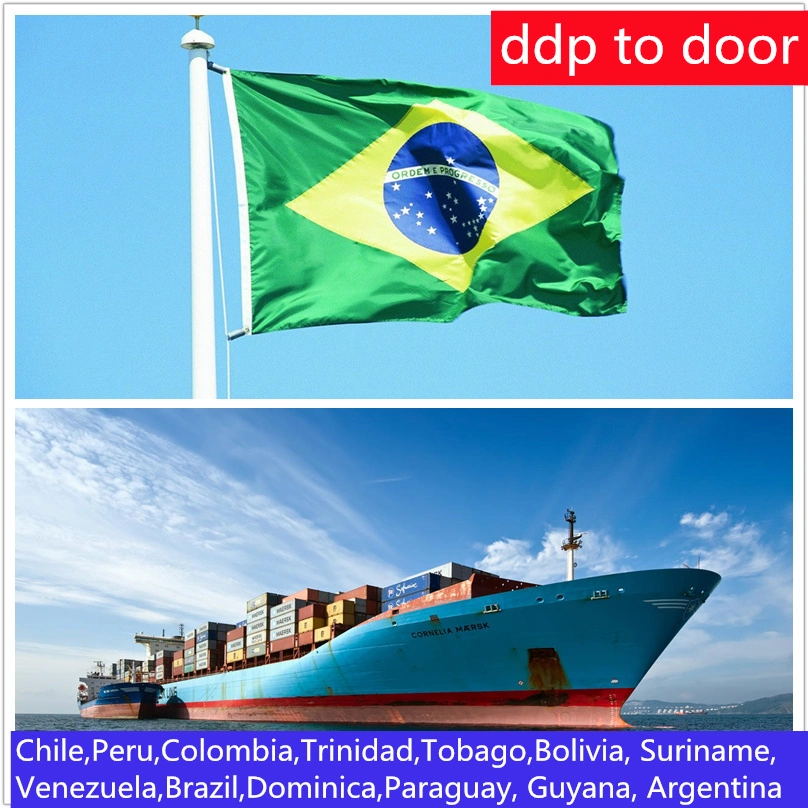 Best China Sea Freight Forwarder FCL LCL Ocean Freight Logistics Shipping From China to Brazil Door to Door