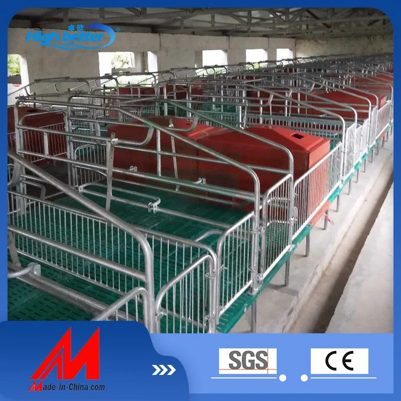 Newly Designed 2023 Ex-Factory Price Pig Cage Board Pig Raising Equipment Pig Bed Made in China