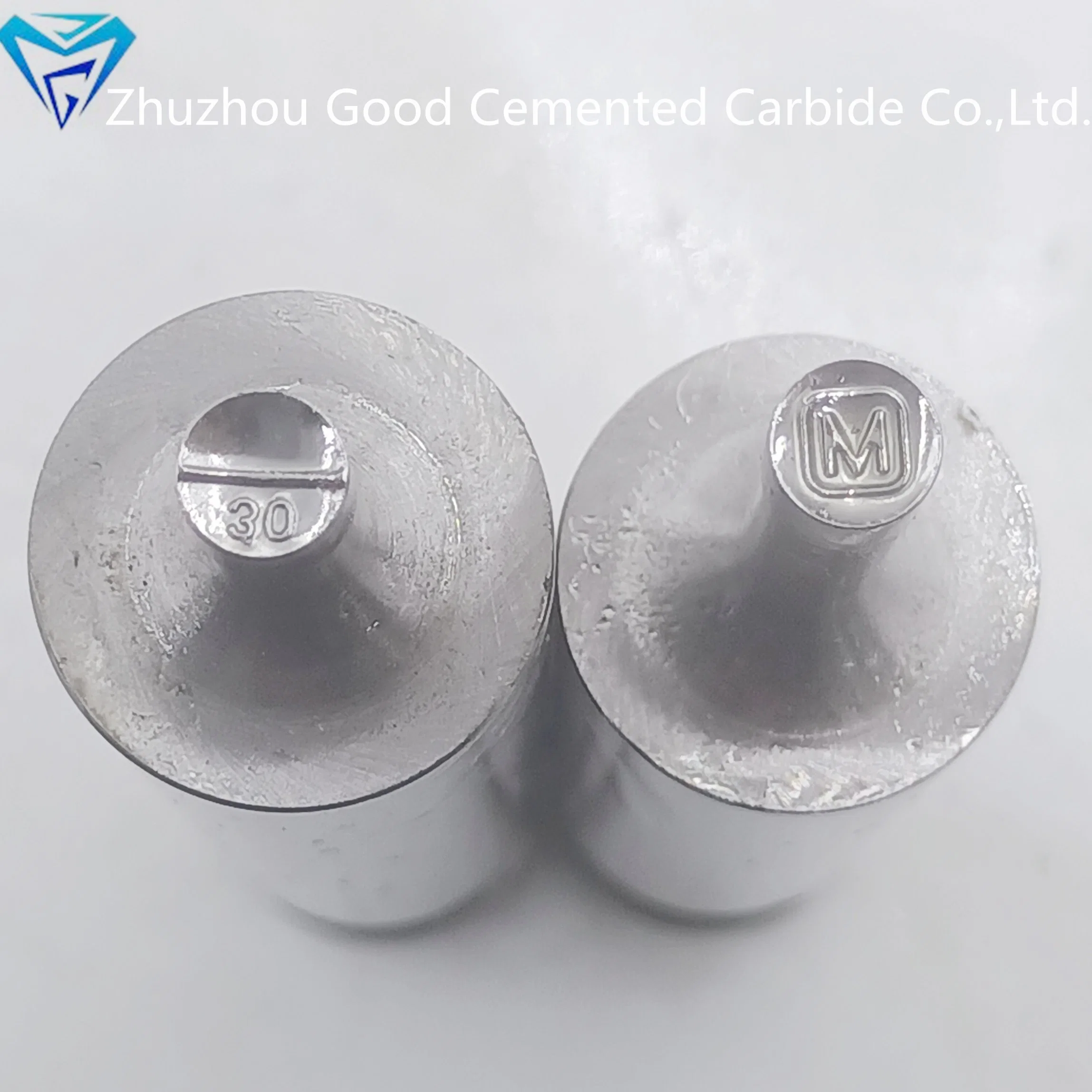 3D Round Shape M30 Pattern Tablet Press Die Candy Pill اضغط على Mold Zp Machine Mold Candy Punch Die for TDP الماكينة Zp5/Zp7/Zp9/Zp10/Zp12