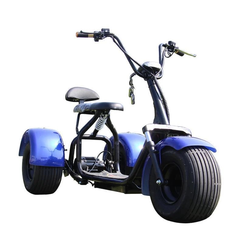 3 Wheel Electric Wide Wheel 1000W Big Power Bike Scooter Citycoco for Sale for Adult Big Scooter