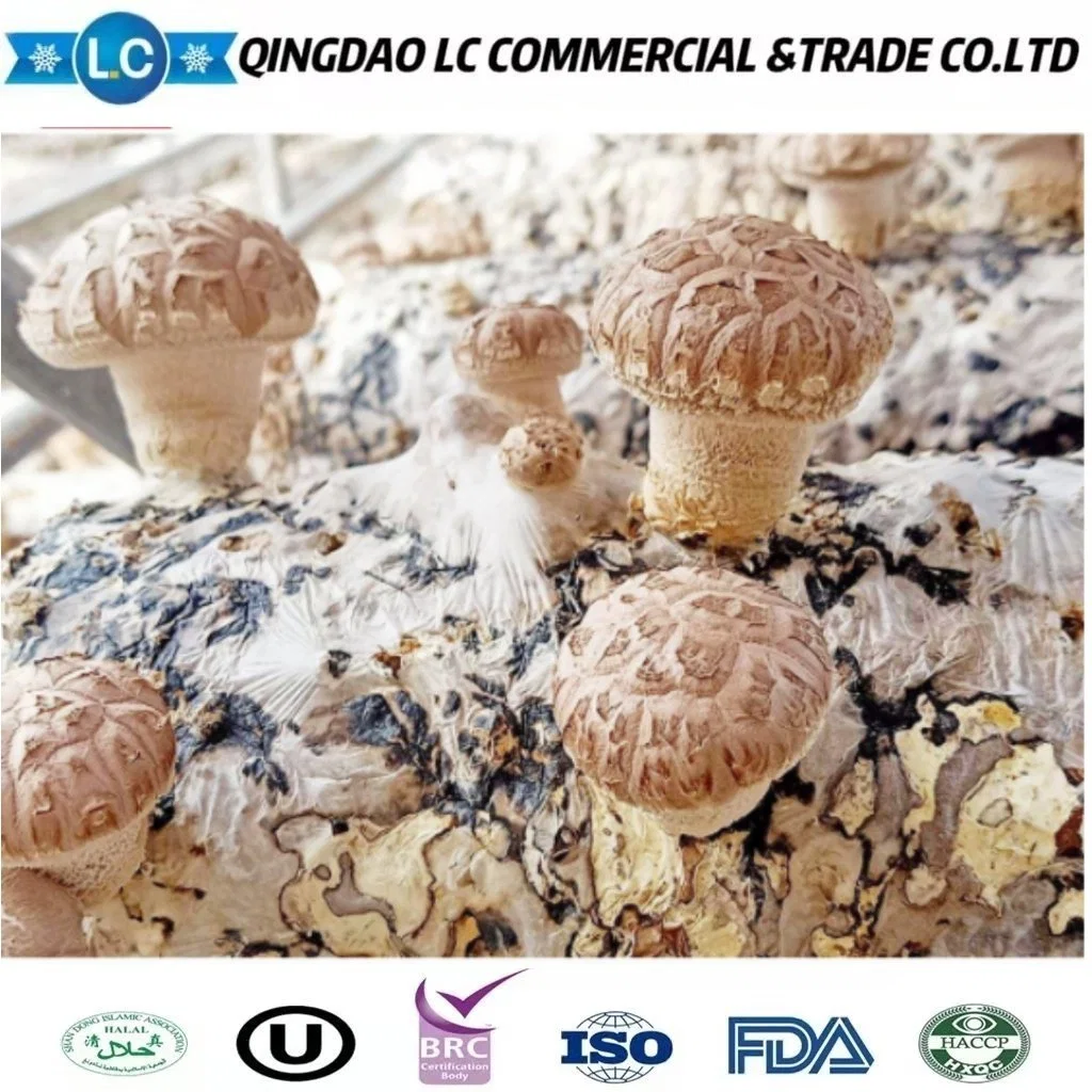 Frozen Cutting Quarter Shiitake Mushrooms