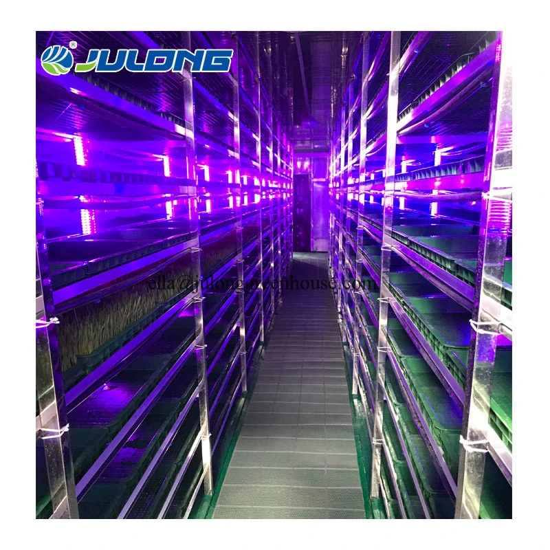 Container Farm 40hc Greenhouse Hydroponic Growing Systems Grass Fodder Greenhouse for Cattle Sheep