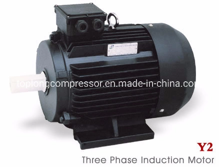 Y2 Series (MS) Three Phase Asynchronous Electric Motor (22kw)