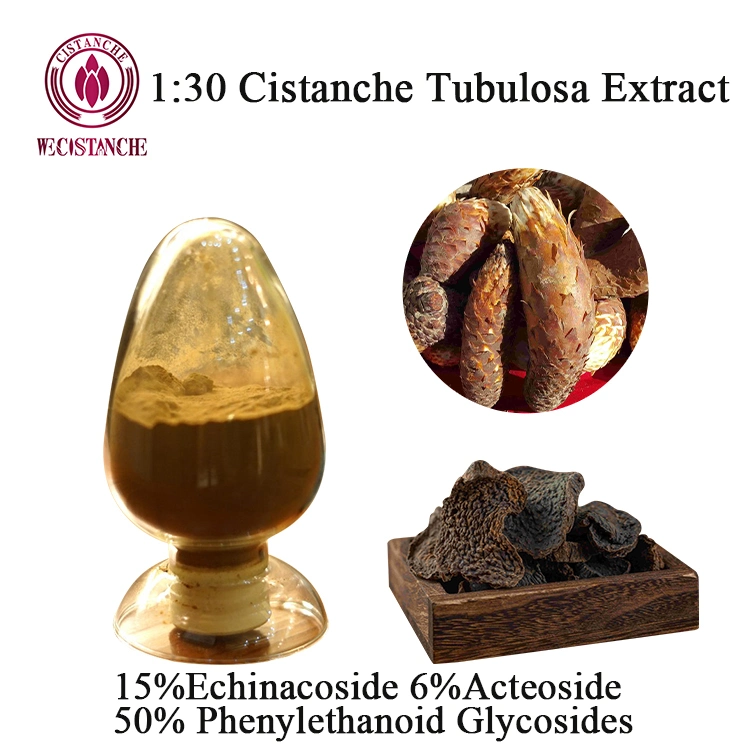 Оптовая OEM 30 высокого качества: 1 Cistanche Tubulosa извлечения 100% натуральные дополнение для строительства