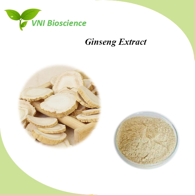 Kosher Halal Certified 100% Natural Ginsenosides Panax Ginseng Extract