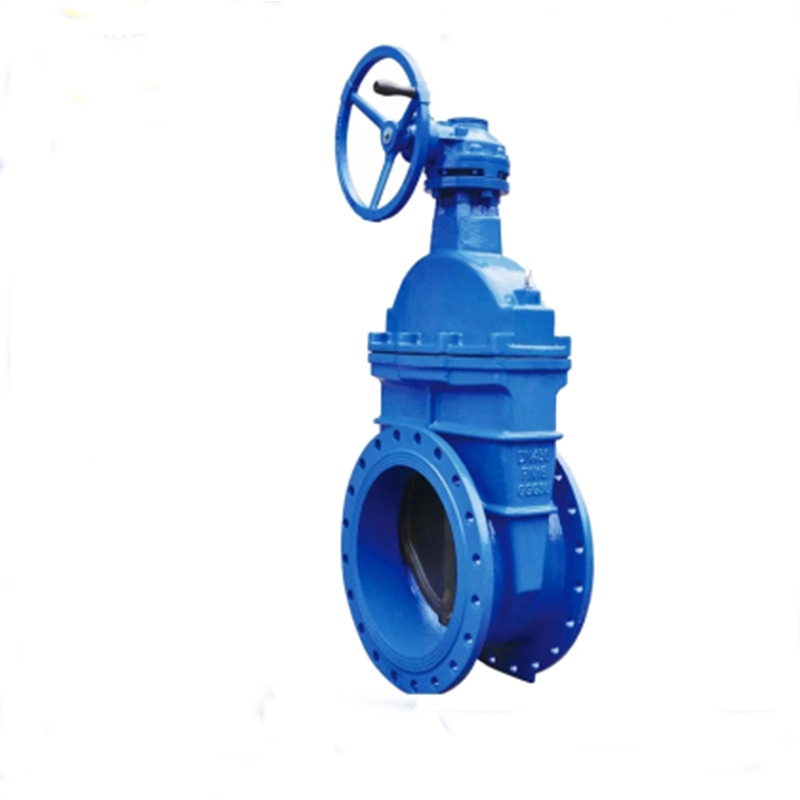 DIN Standard Cast Iron/Ductile Iron Flange Type Gate Valve with ISO Certificate