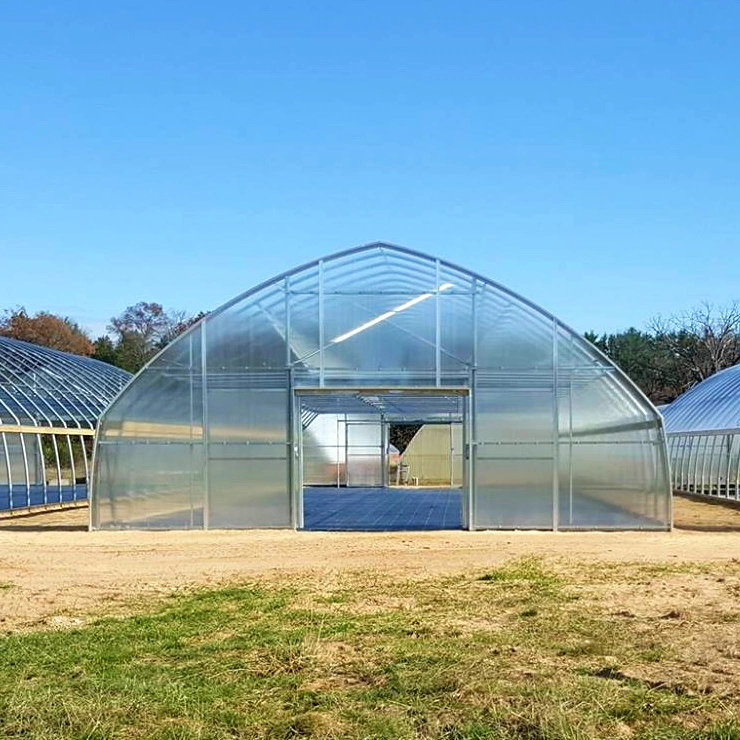 2023 Low Cost Landwirtschaftliche Polytunnel Gewächshaus für Gemüse