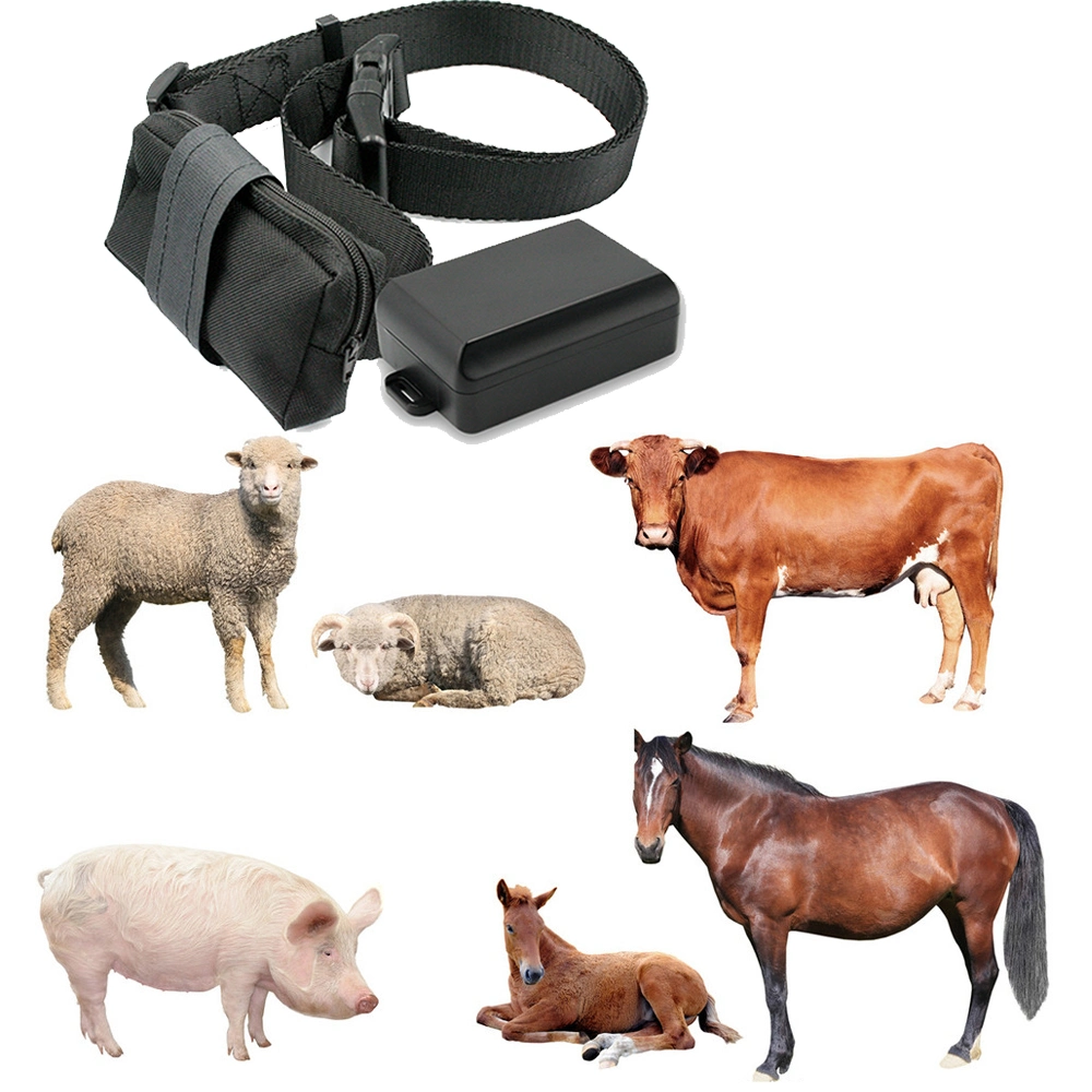 Waterproof GPS Tracker Collar for Pigs Cattle Sheep Horses