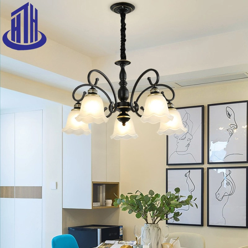 Handwork Iron Art+Frosted Glass Kapok Ceiling Pendant Light with E27*5/6/8/10 Light Fixture (HTH-MH)