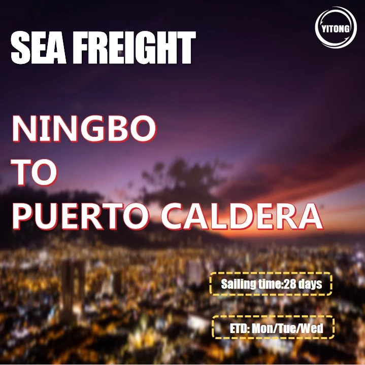 Shipping Container From Shenzhen to Puerto Caldera Costa Rica