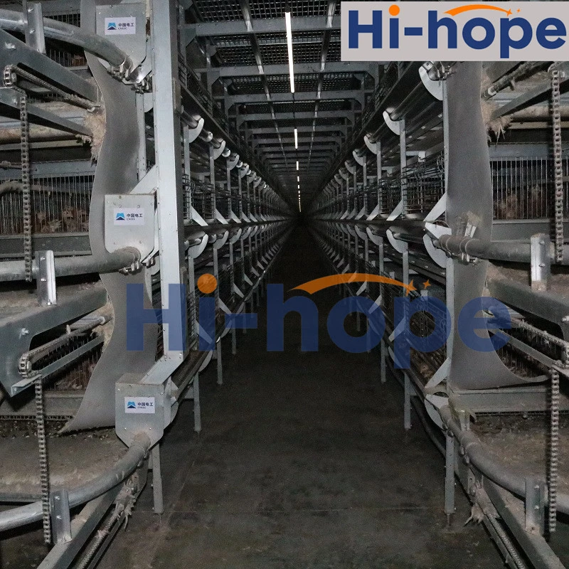 Automatic Layer Chicken Cage with Feeding Machine, Manure Machine