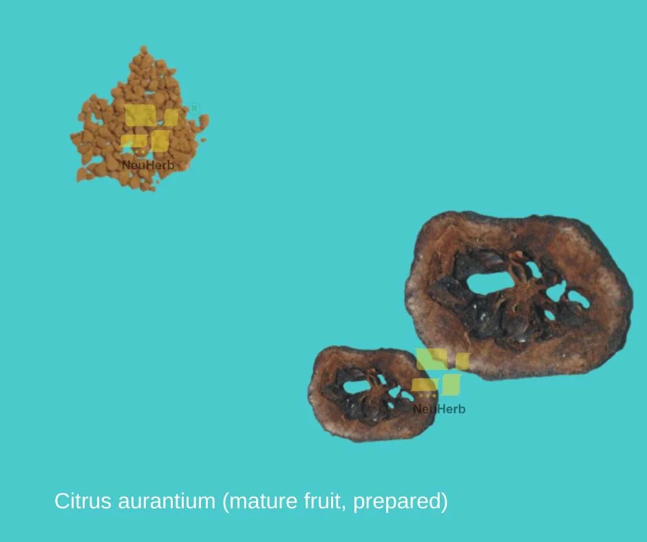 Citrus Aurantium (mature fruit, prepared) Prepared Traditional Chinese Herbal Medicine Abdominal Distension