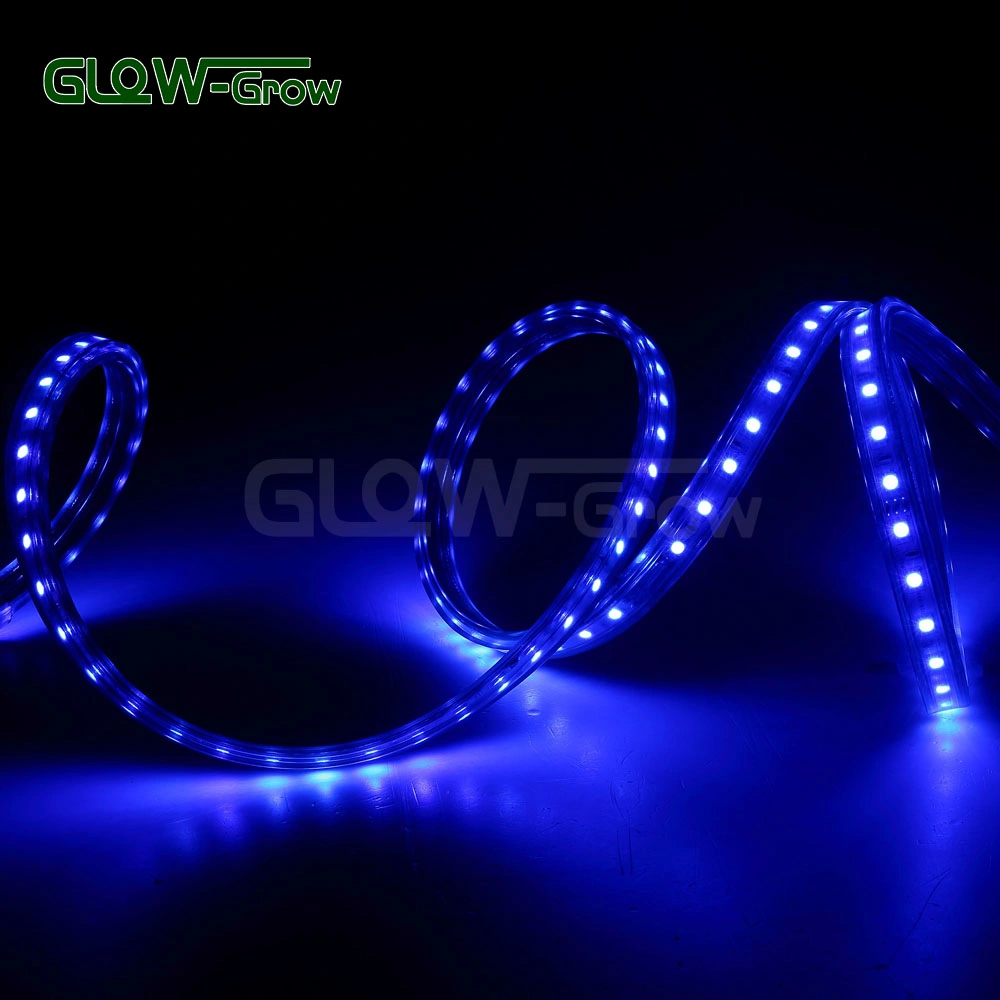 SMD 5050 RGB LED Chip Strip Light for Restaurant Decoration