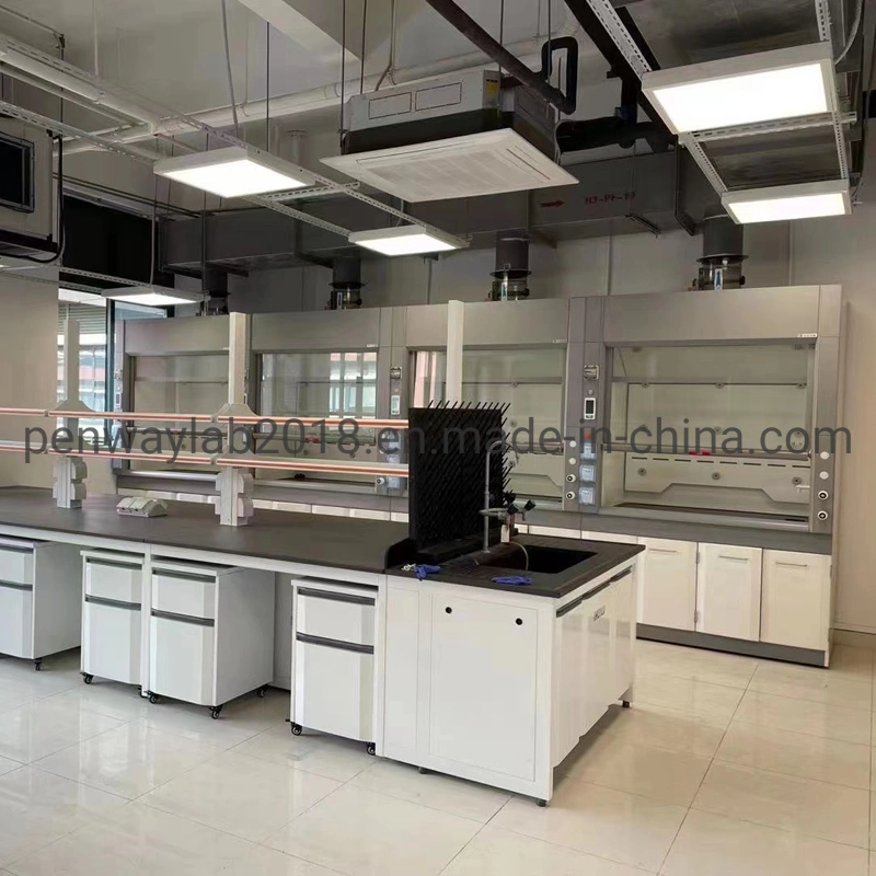 Durable Microbiology Laboratory Chemical Lab Cabinet Furniture