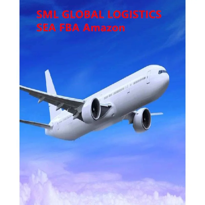 Air Cargo Service Freight Forwarder to Egypt/Sudan/Ethiopia/Djibouti/Kenya/Libya/Algeria/Tunis/Morocco Cheap Sea Shipping Agents Logistics