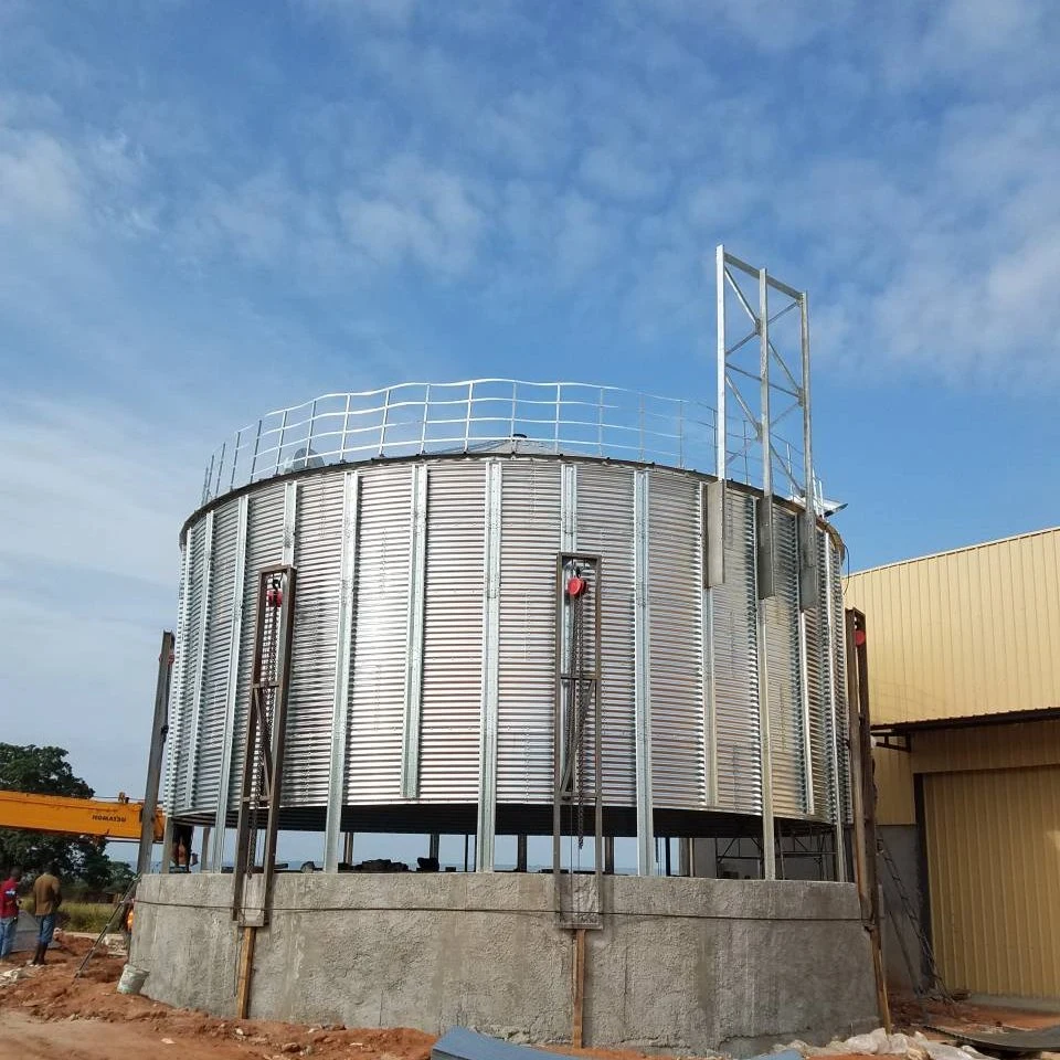 300t 500t 1000t 1500t 3000t Grain Silo for Sale