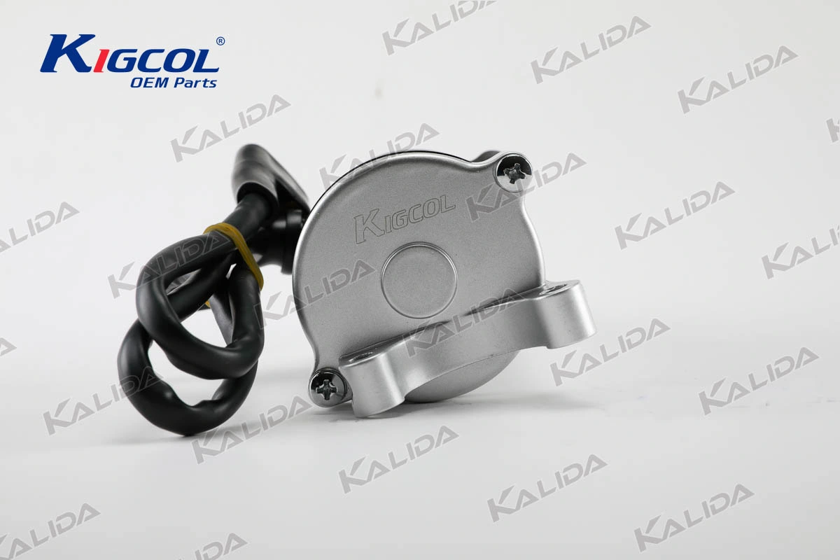 Motorrad Startmotor Cg200 11t Kigcol OEM Qualität Motorrad-Motor Teile für Honda geeignet