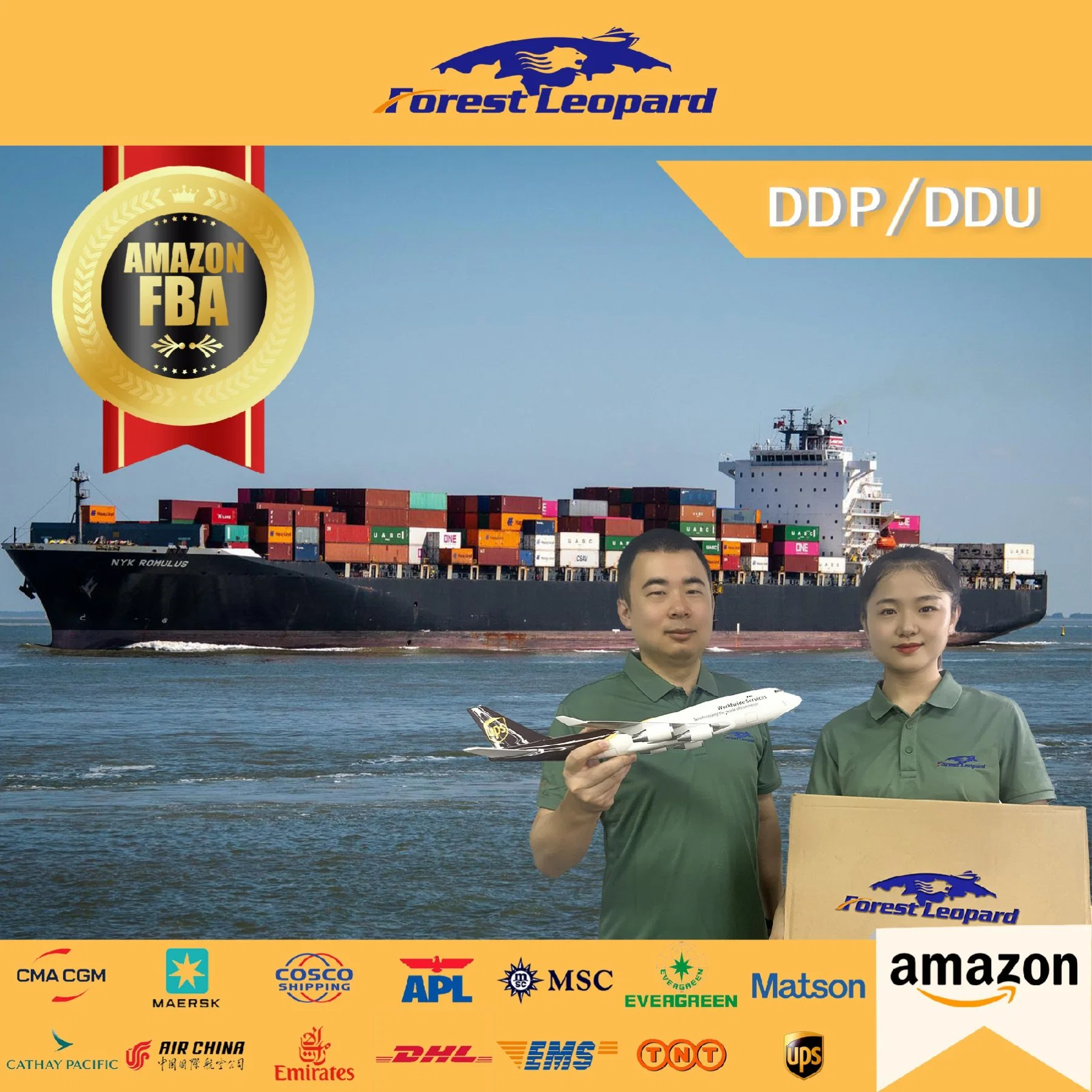 Fba Sea Freight Forwarder Shipping Cost China to UK/France/Germany/Poland/Europe DDP Service