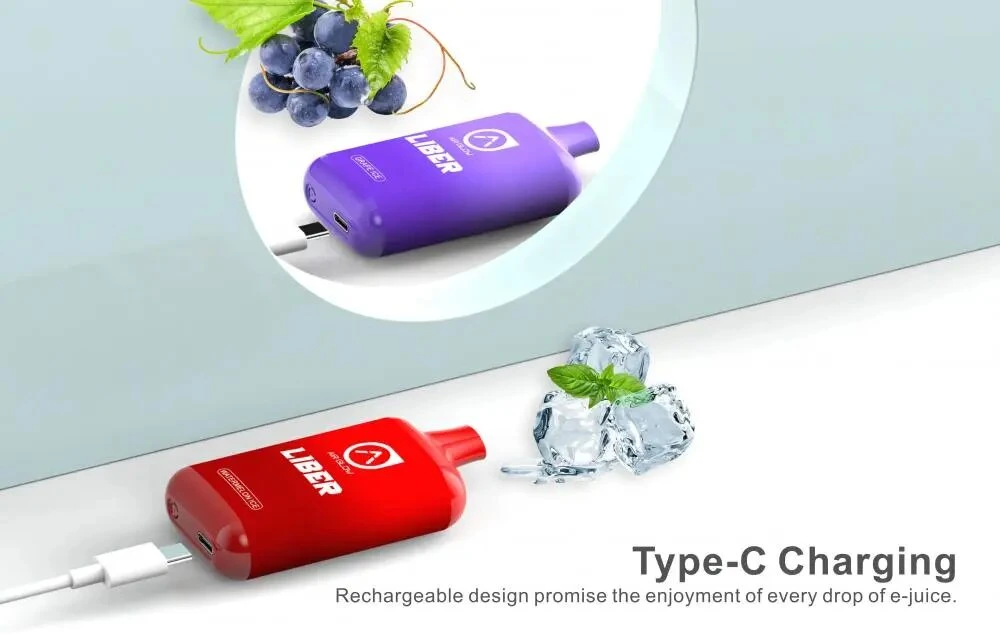 Wholesale Rechargeable E Cigarette 2022 Mini Disaposable E-Cigarette 10ml Liquids Disposable Vape Vapor Electronic Cigarette