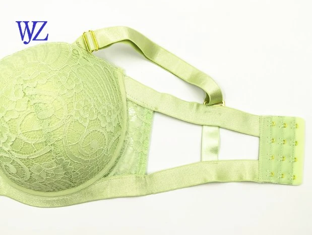 Mujer ropa interior encaje Sujetador sexy conjunto Damas Sujetador y panty Ropa interior