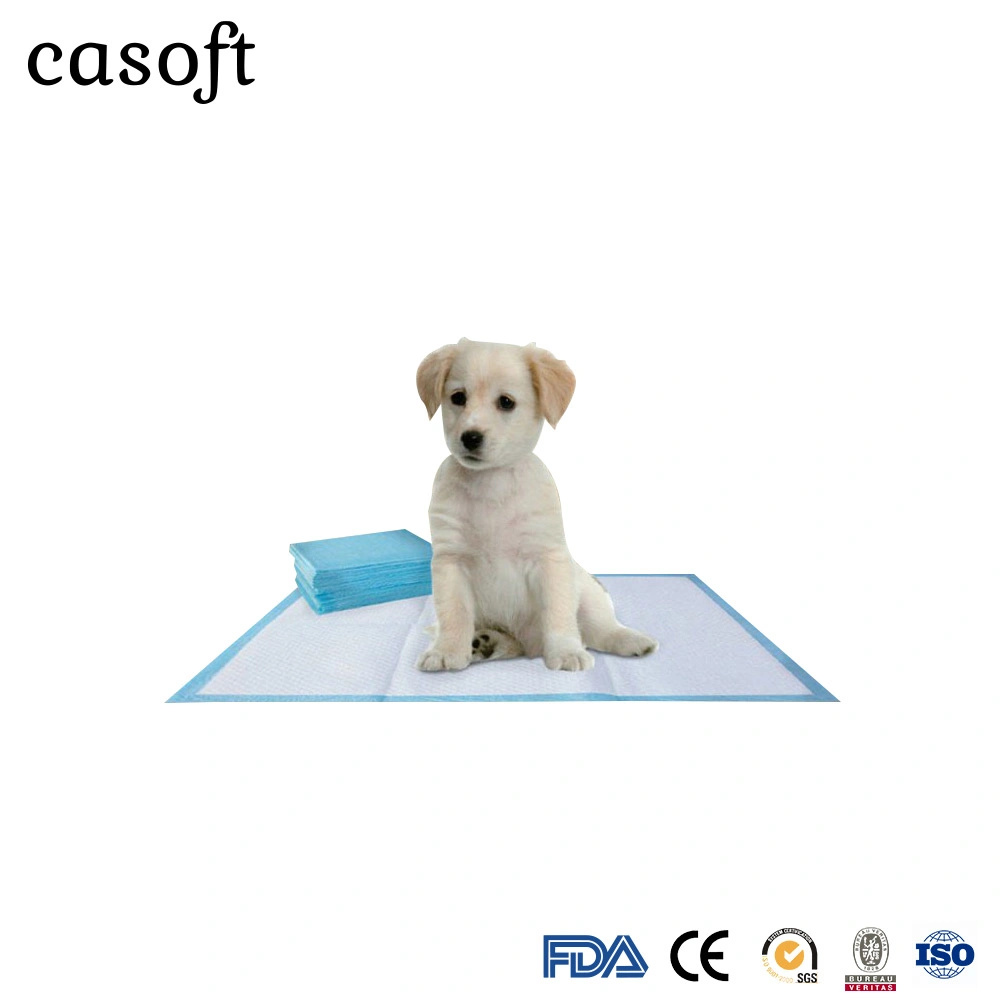 Hersteller Casoft Best Selling Training High Absorption Einweg Indoor Voll Größe Pet PISSE Pads liefern Japan Korea