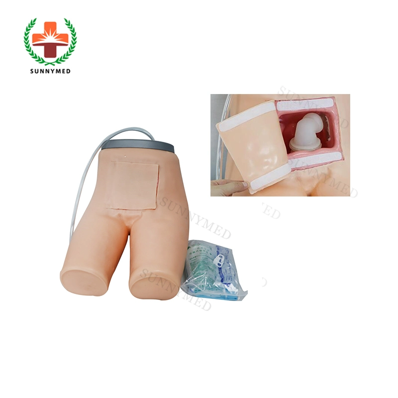 Sy-N054 Medical Enema und assistierte Stuhlbildung Training Modell Simulator