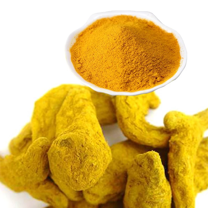 Pure Nature Plant Turmeric Powder for Health Care Product Curcumin Instant Dry Ginger Extract Powder