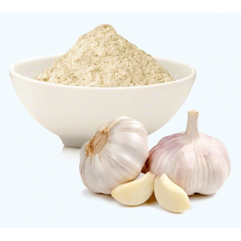 Good Quality Competitive Pirce Health Care Product Garlic Extract Allicin Powder