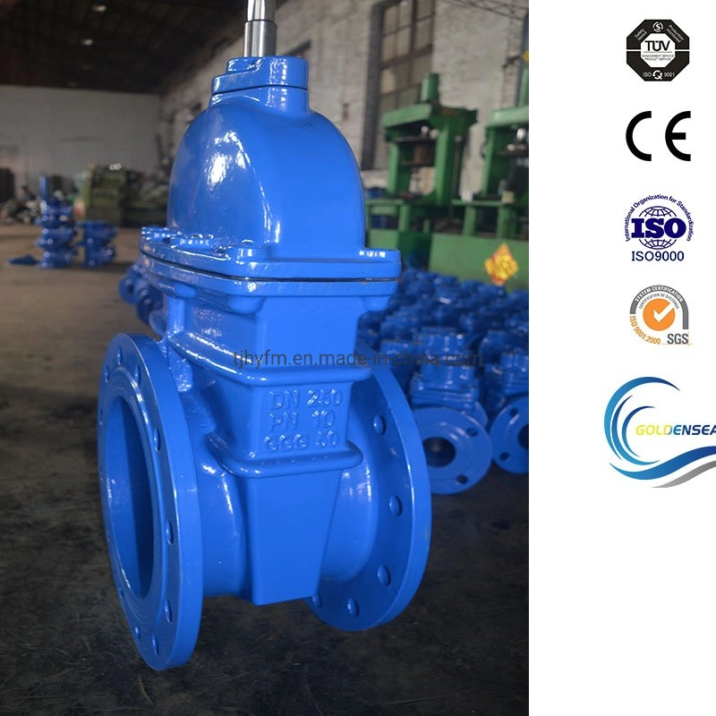 Hydraulics ANSI High quality/High cost performance Audited Supplier Resilient Gate Valve