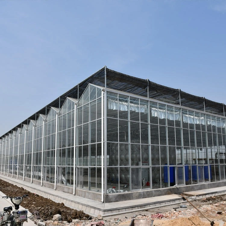 El bastidor de acero galvanizado comercial Cristal de la casa verde de frutas y verduras