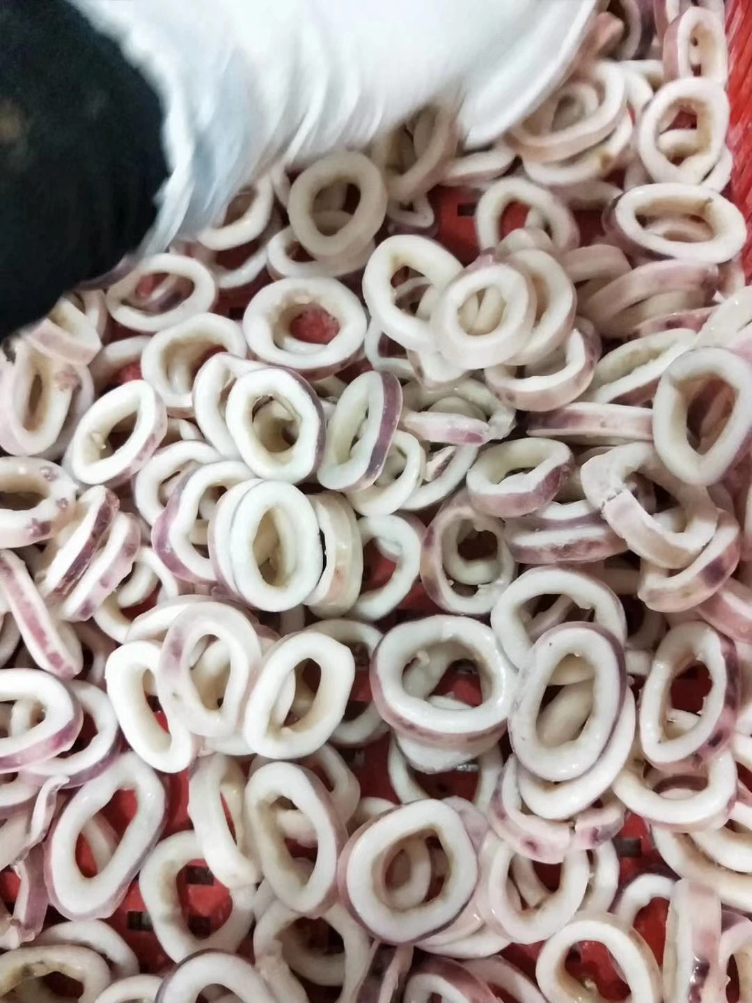 Squid Ring Squid Ring New Process Quality Fresh Seafood Squid Ring Frozen Squid